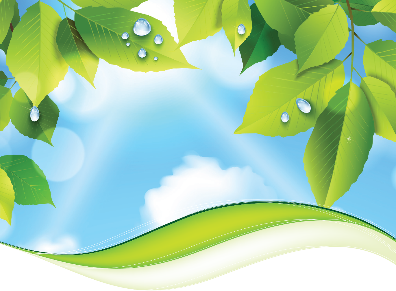 Fresh green leaves with water droplets are shown against a bright blue sky with clouds a green wave is at the bottom